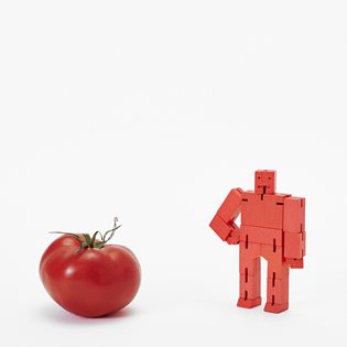 Micro Cubebot - Red