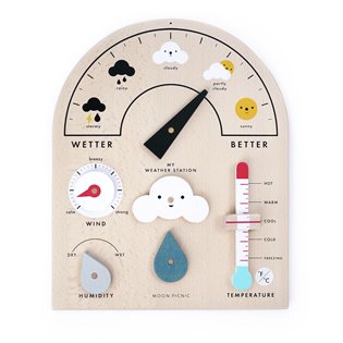 My Weather Station