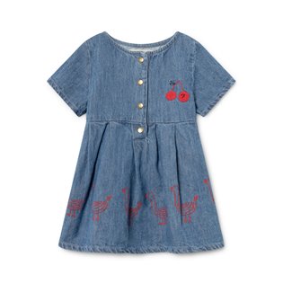 Geese Princess Baby Dress - Denim