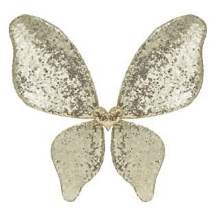 Sparkle Sequin Wings - Gold