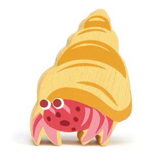 Coastal Animal - Hermit Crab