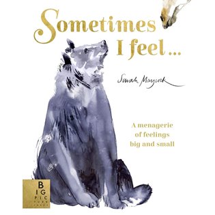 Sometimes I Feel - Book