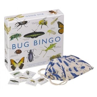 Bug Bingo