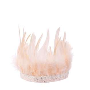 Pink Feather Party Crown