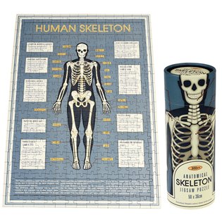 Anatomical Skeleton 300 Piece Puzzle In A Tube