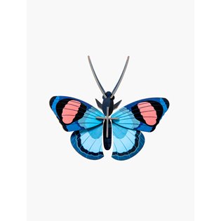 Peacock Butterfly Model