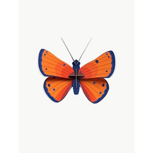 Copper Butterfly Model