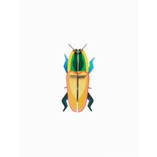 Madagascar Beetle Model