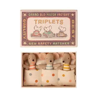 Triplets, Baby Mice in Matchbox