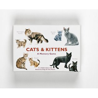 Cats & Kittens Memory Card Game