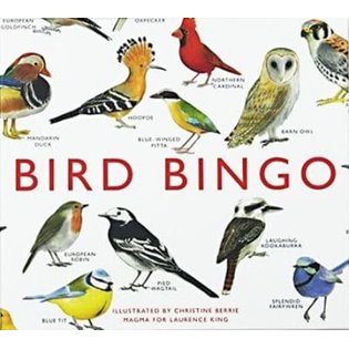 Bird Bingo Game