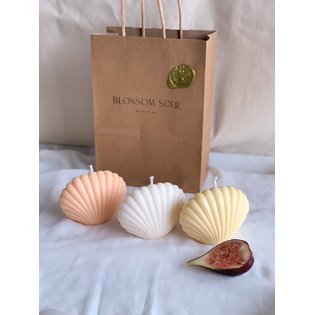 Sea Shell Candle