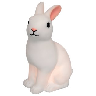 Rabbit night light